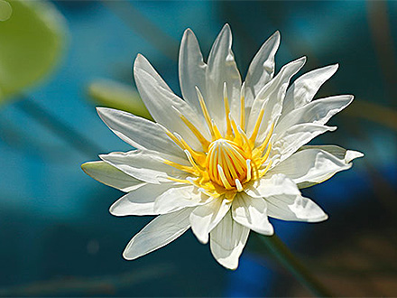 產(chǎn)品中心標(biāo)題一